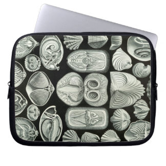 Vintage Haeckel Laptop Sleeve
