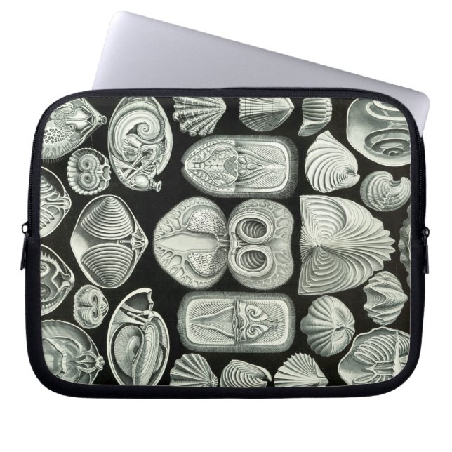 Vintage Haeckel Laptop Sleeve (Framsidan)