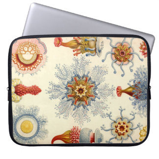 Vintage Haeckel Laptop Sleeve