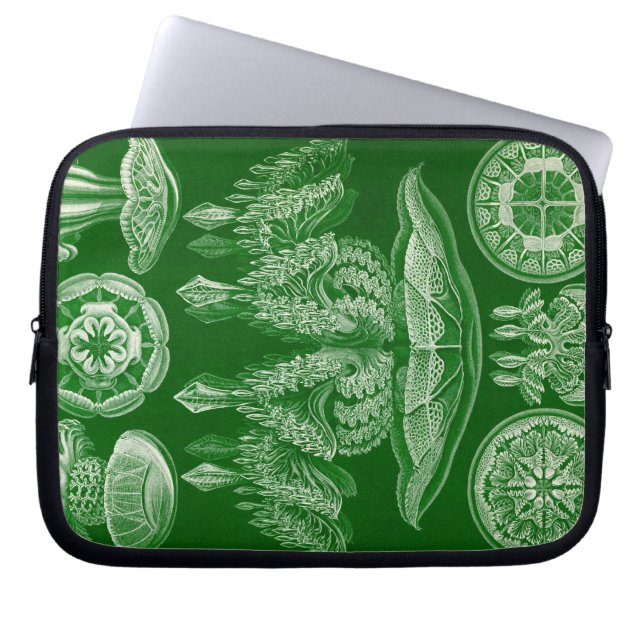 Vintage Haeckel Laptop Sleeve (Framsidan)