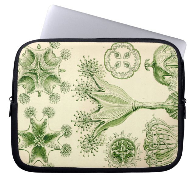 Vintage Haeckel Laptop Sleeve (Framsidan)