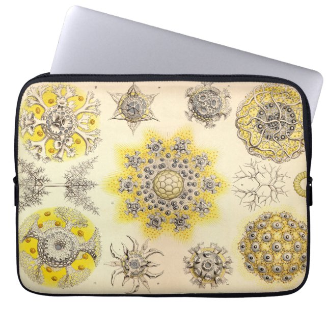 Vintage Haeckel Laptop Sleeve (Framsidan)