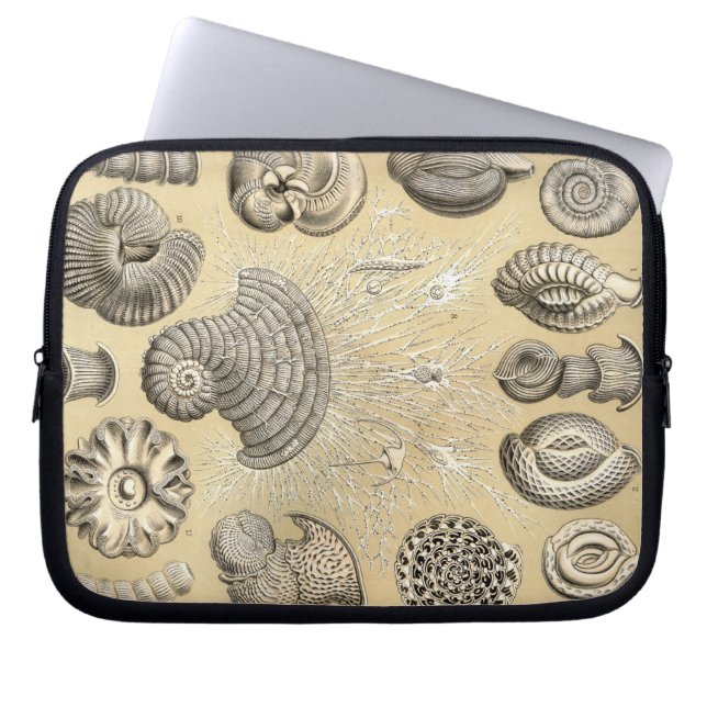 Vintage Haeckel Laptop Sleeve (Framsidan)