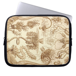 Vintage Haeckel Laptop Sleeve