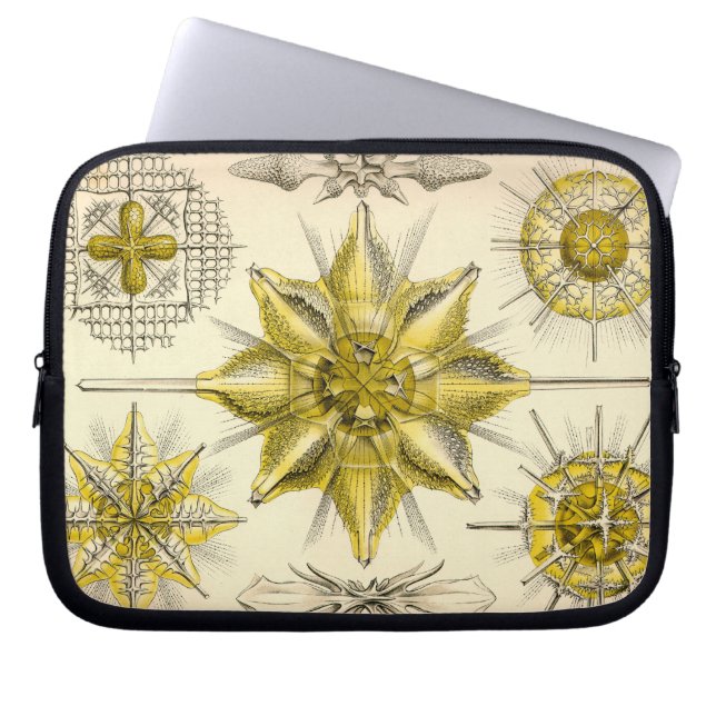 Vintage Haeckel Laptop Sleeve (Framsidan)