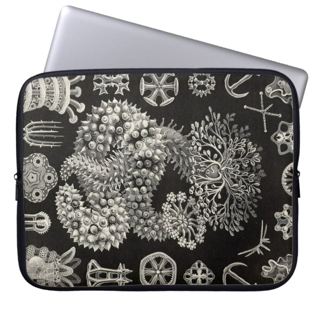 Vintage Haeckel Laptop Sleeve (Framsidan)