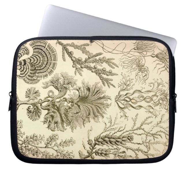 Vintage Haeckel Laptop Sleeve (Framsidan)