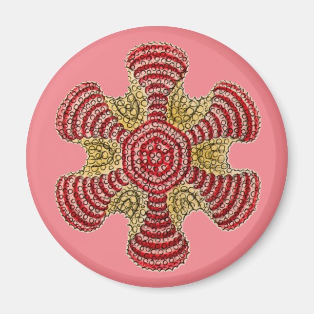 Vintage Haeckel Magnet (Framsidan)