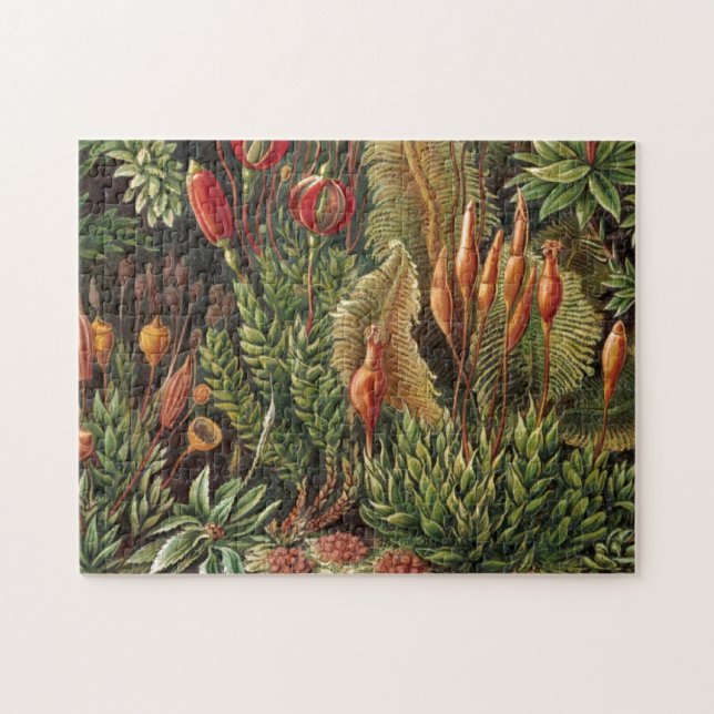 Vintage Haeckel Plant Life Print Pussel (Horisontell)