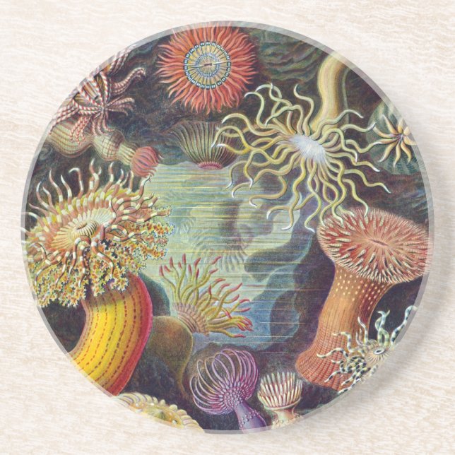 Vintage Haeckel Sea Anemone Underlägg (Framsidan)