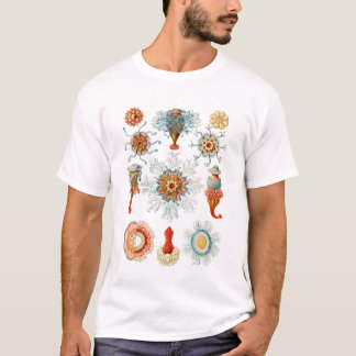 Vintage Haeckel Siphonophora Marinliv Maneter T Shirt
