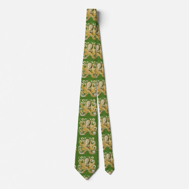 Vintage Haeckel Slips (Framsida)