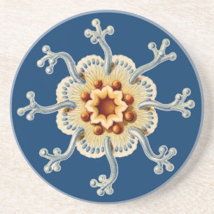 Vintage Haeckel Underlägg