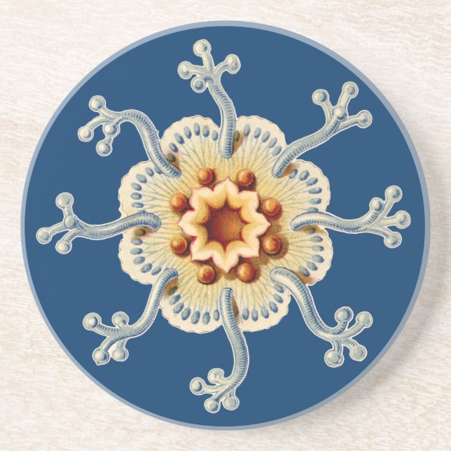 Vintage Haeckel Underlägg (Framsidan)