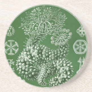 Vintage Haeckel Underlägg Sandsten
