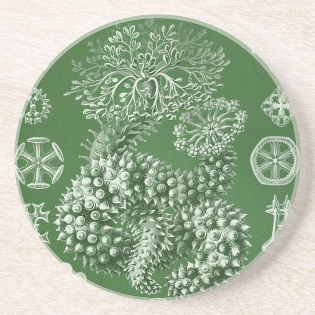 Vintage Haeckel Underlägg Sandsten (Framsidan)