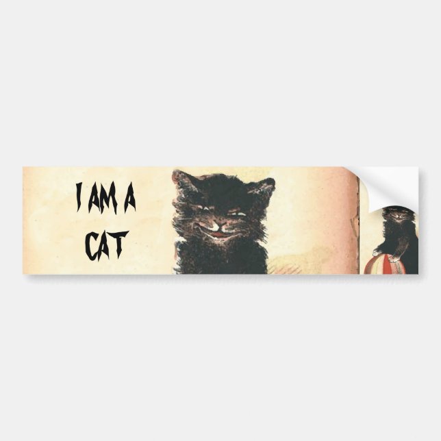 Vintage HALLOWEEN Black Cat Bildekal (Framsidan)
