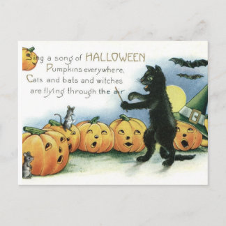 Vintage Halloween Black Cat Mice Mouse Postcard Vykort