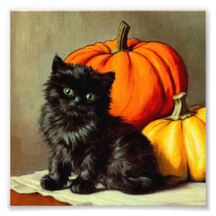 Vintage Halloween Black Cat och Pumpkins Fototryck