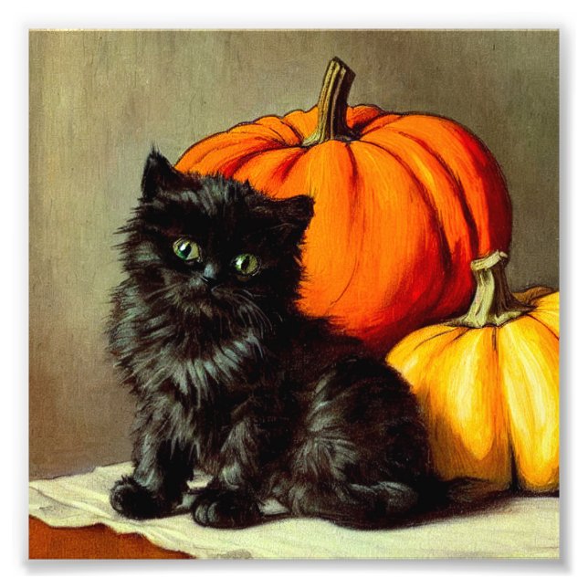 Vintage Halloween Black Cat och Pumpkins Fototryck (Framsidan)