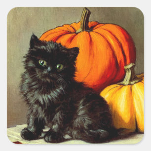 Vintage Halloween Black Cat och Pumpkins Fyrkantigt Klistermärke