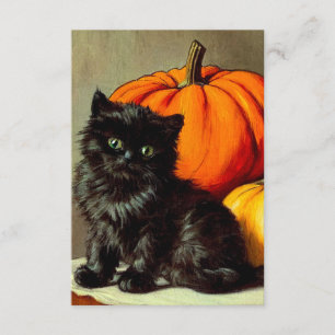 Vintage Halloween Black Cat och Pumpkins Tilläggskort