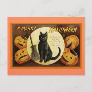 Vintage Halloween Black Cat Pumpkin Victorian Dikt Vykort