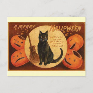 Vintage Halloween Black Cat Vykort