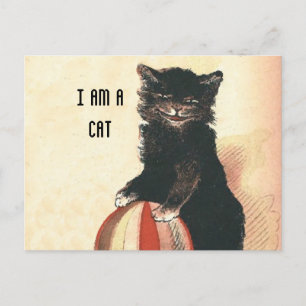 Vintage HALLOWEEN Black Cat Vykort