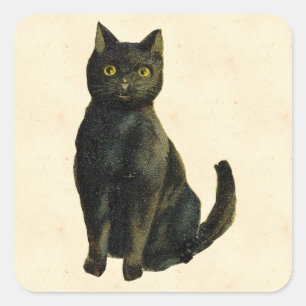 Vintage Halloween Cat Fyrkantigt Klistermärke