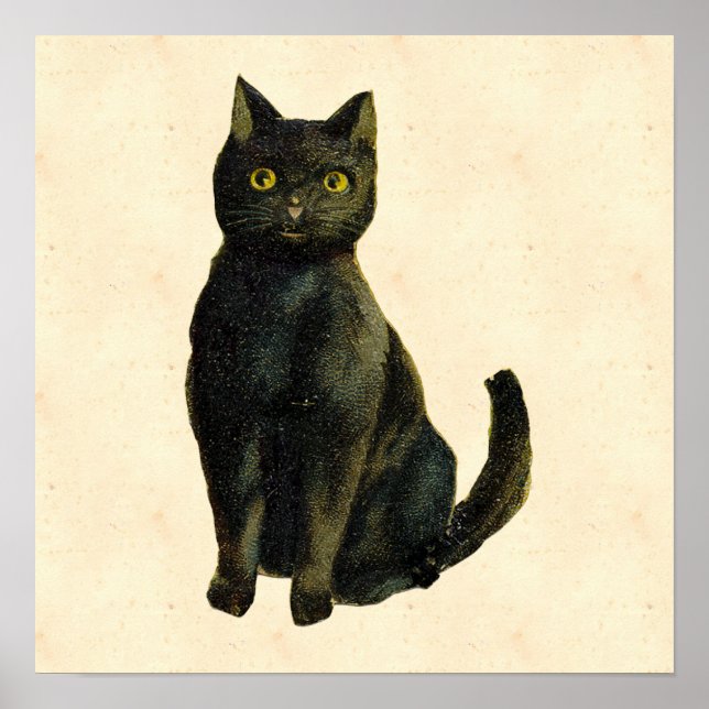 Vintage Halloween Cat Poster (Framsidan)