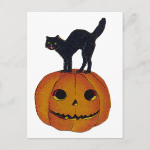 Vintage Halloween Cat Vykort