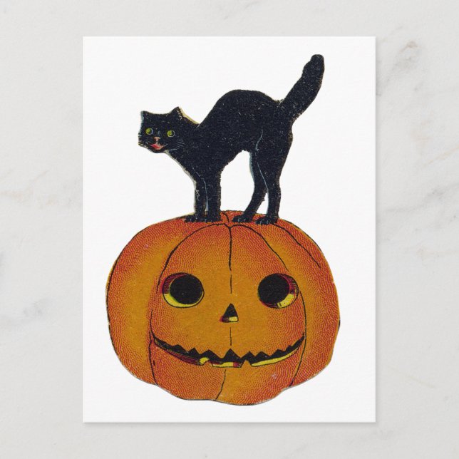 Vintage Halloween Cat Vykort (Framsida)