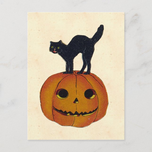 Vintage Halloween Cat Vykort (Framsida)