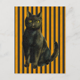 Vintage Halloween Cat Vykort