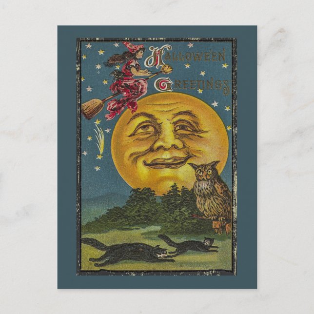 Vintage Halloween Funny Uggla Illustration Vykort (Framsida)