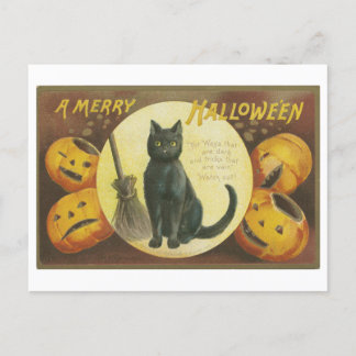 Vintage Halloween Hälsning med svart katt Vykort