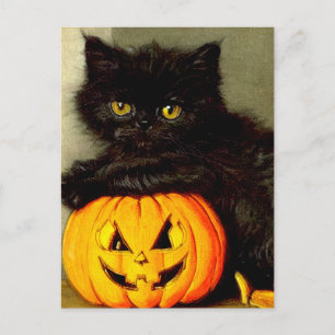 Vintage Halloween Katt och Jack-o’-lantern Helg Vykort