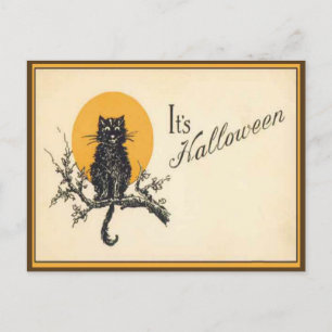 Vintage Halloween-katt-postkort Vykort
