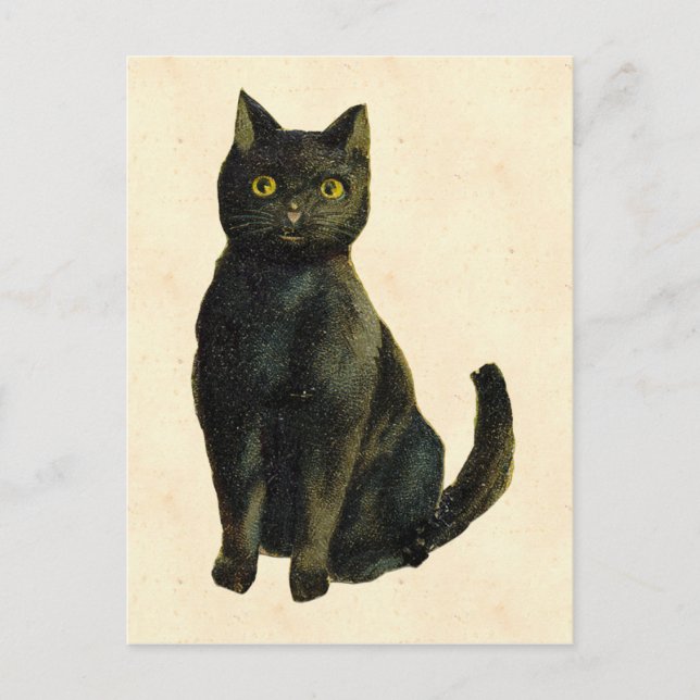 Vintage Halloween Katt Vykort (Framsida)