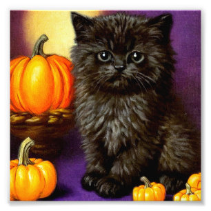Vintage Halloween Kitten Fototryck