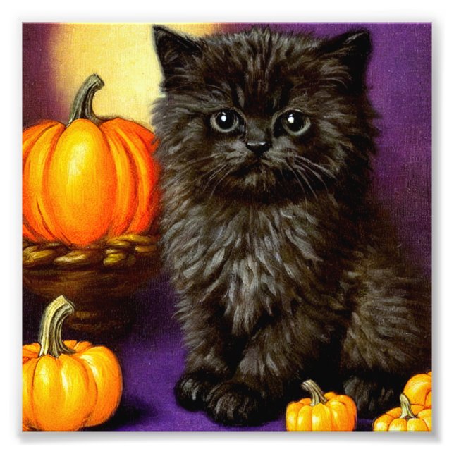 Vintage Halloween Kitten Fototryck (Framsidan)