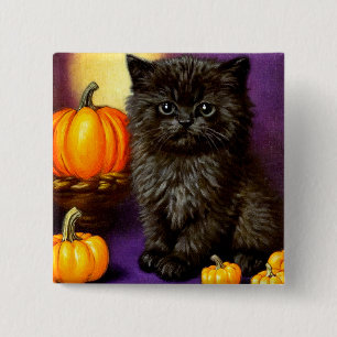 Vintage Halloween Kitten Knapp