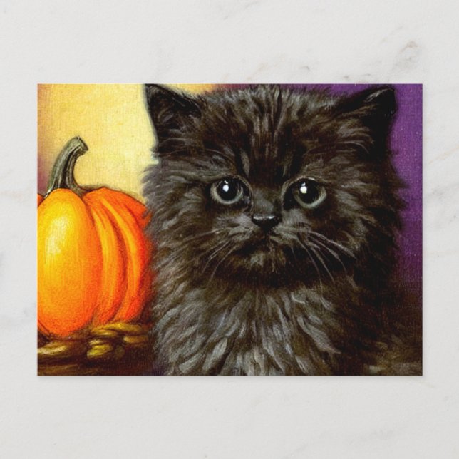 Vintage Halloween Kitten Vykort (Framsida)