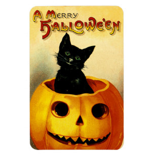 Vintage Halloween Magnet med Black Cat och Pumpkin