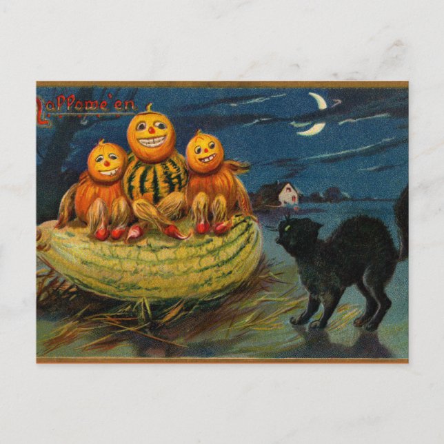 Vintage Halloween Pumpkins Black Cat Vykort (Framsida)