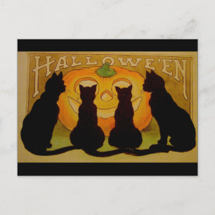Vintage Halloween Svarta Katter och Jack O'Lantern Vykort