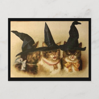 Vintage Halloween svarta katter Vykort