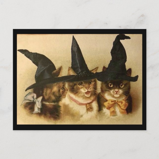Vintage Halloween svarta katter Vykort (Framsida)