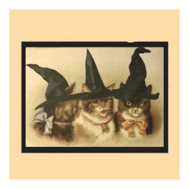 Vintage Halloween Svarta Katter Vykort (Skapare uppladdad)